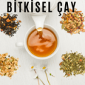 Bitkisel Çaylar